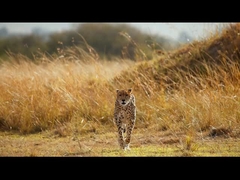 Gafas de visión nocturna - binoculares de visión nocturna 5K para adultos, binoculares infrarrojos recargables de 5000 mAh