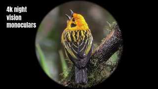 Monocular de visión nocturna de alta calidad 4K