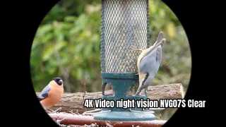 Vídeo 4K visión nocturna NVG07S Claro Observar aves