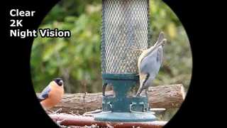 Capture gafas de visión nocturna Clear Video 2K