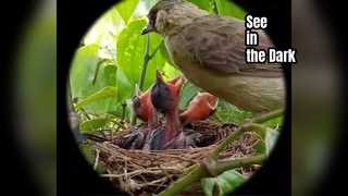 Observación de gafas de visión nocturna Hondigi